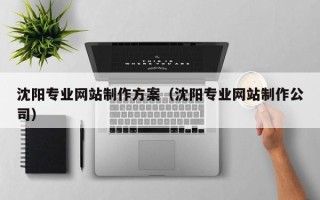 顺德沈阳专业网站制作方案（沈阳专业网站制作公司）